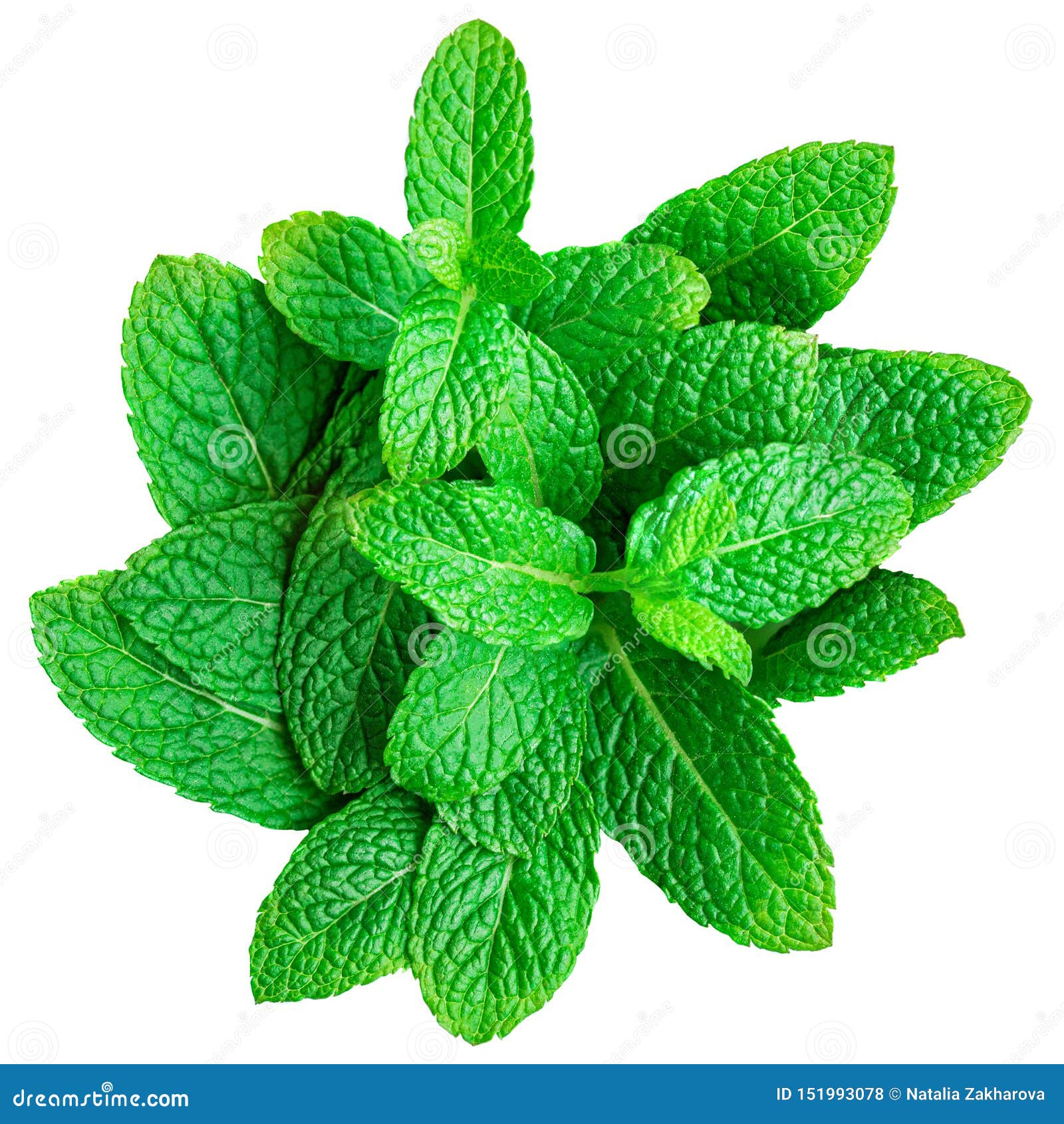 mint leaves
