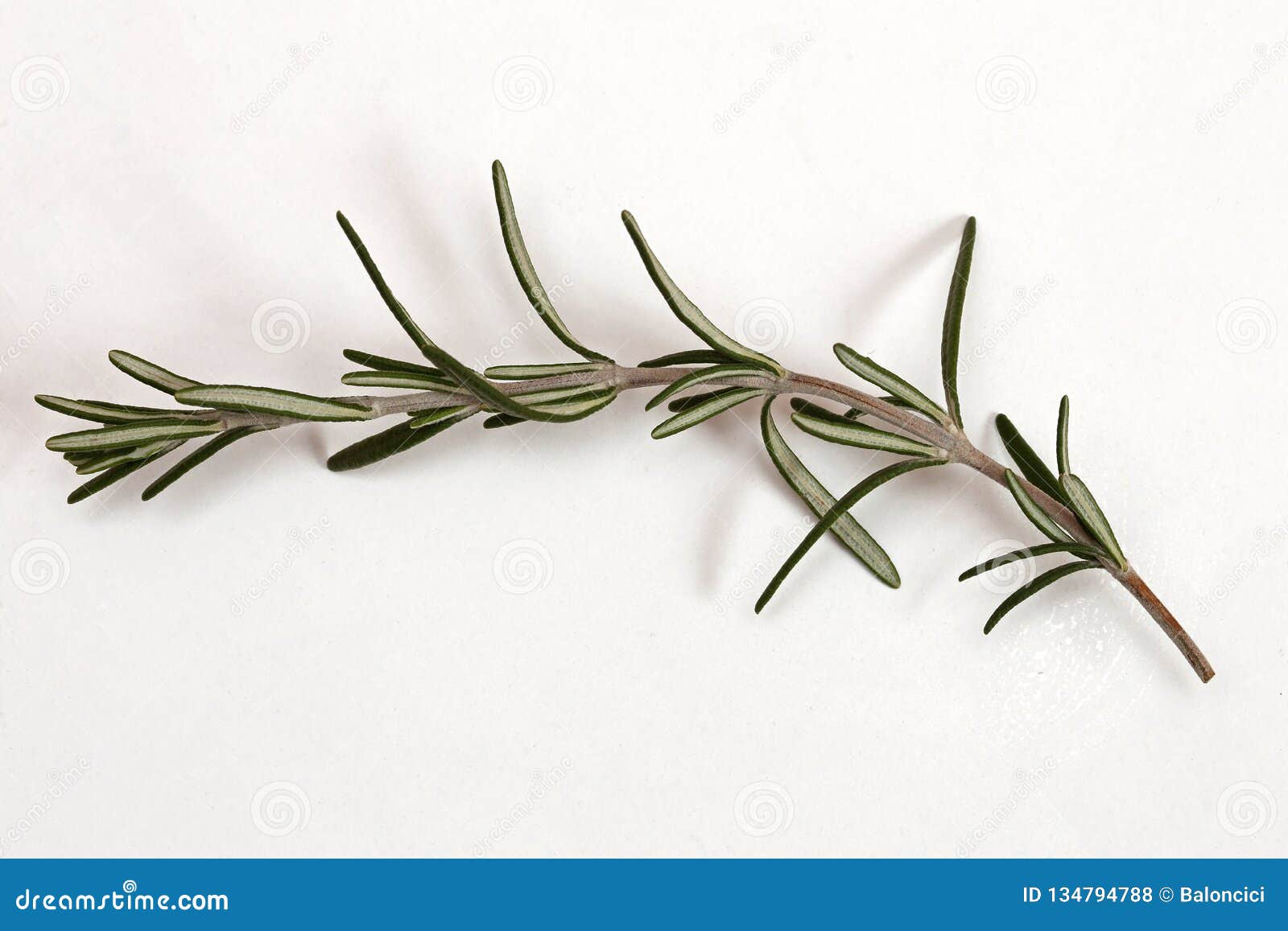 rosemary sprig